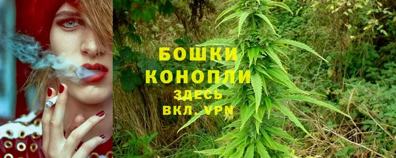 MEGA вход  Калач-на-Дону  Шишки марихуана Ganja 